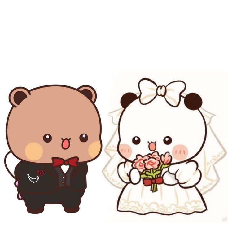 Lee más sobre el artículo 🧸 ¿Bubu y Dudu están casados?