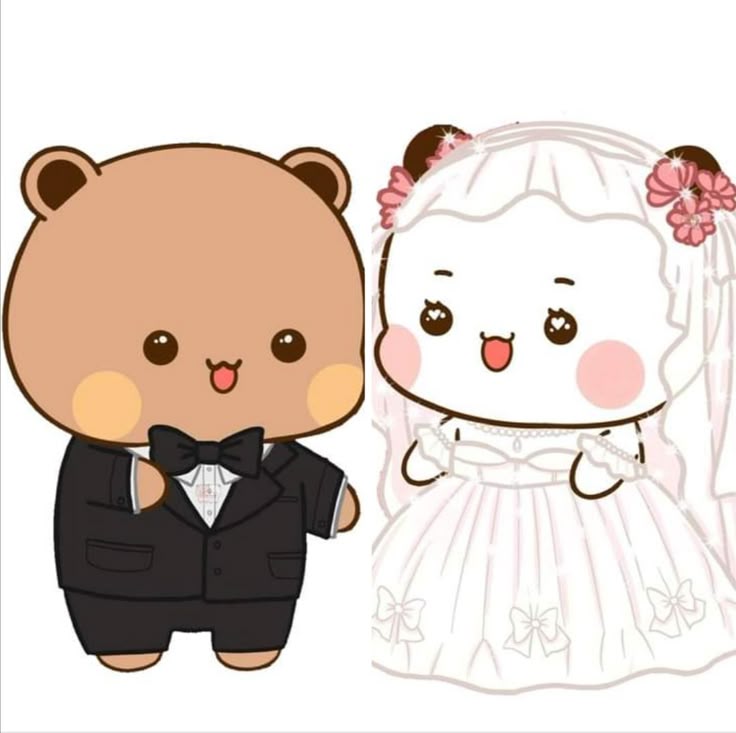 Lee más sobre el artículo 🧸Novios de peluche para regalo: osos Bubu y Dudu